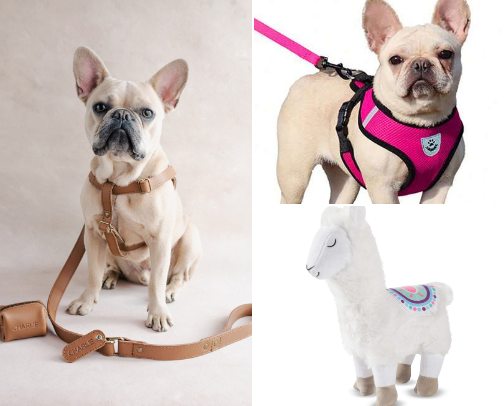 Must-Have Pet Products for Your Fur Babies: Essential Picks for Happy, Healthy Pets cover photo collage
