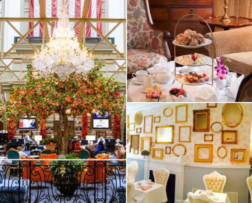 Afternoon Tea for when you go to DC cover photo collage