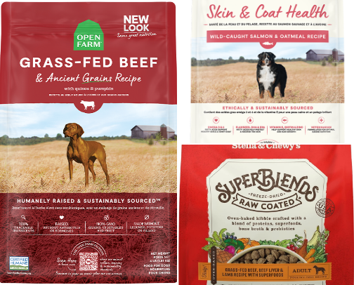 Dog Foods I Feel Good About Feeding My Dogs 🐾 cover photo collage