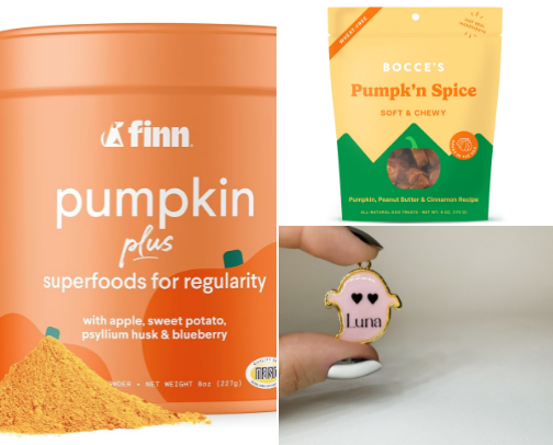 For the Pup | These are a few of our Fav Fall Things cover photo collage