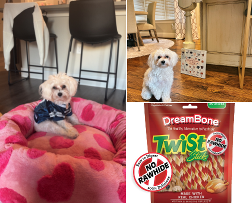 Puppy Essentials 🐾🐩 cover photo collage