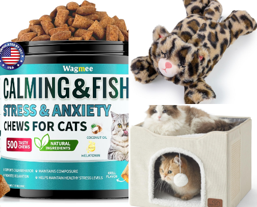 Kitty Life 🐈 cover photo collage