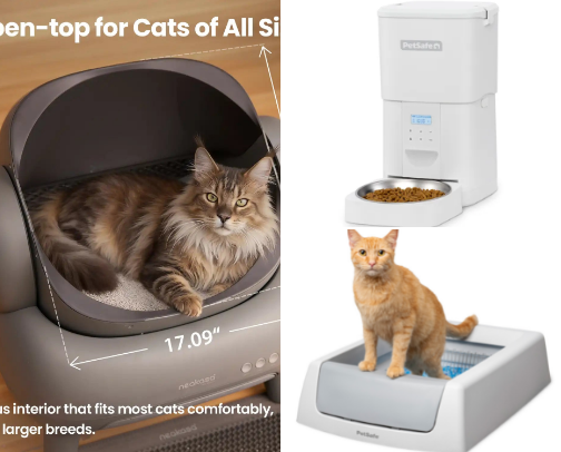 The Architectural Feline: High-Design & Smart Cat Essentials. cover photo collage