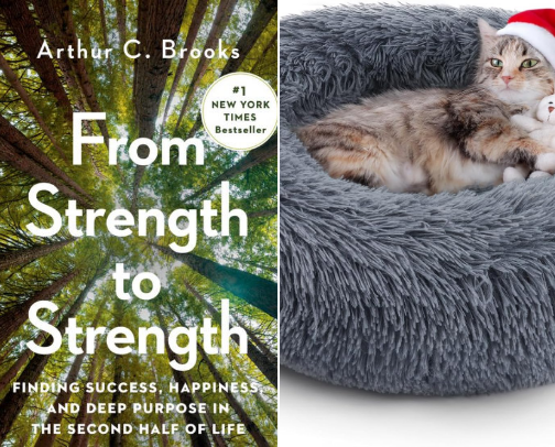 January Loves. What I am buying this month cover photo collage