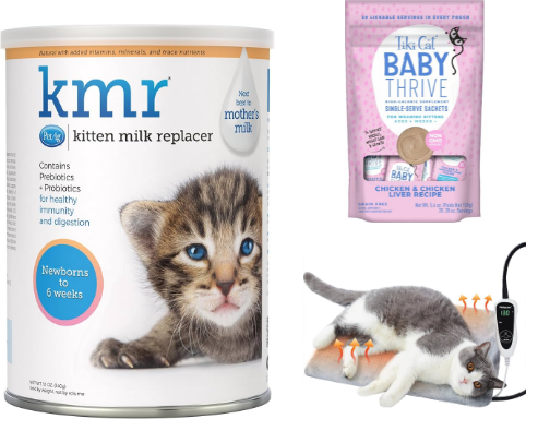 Kitten Foster Must-Haves cover photo collage