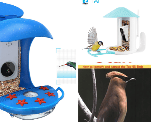 All of the Animals cover photo collage