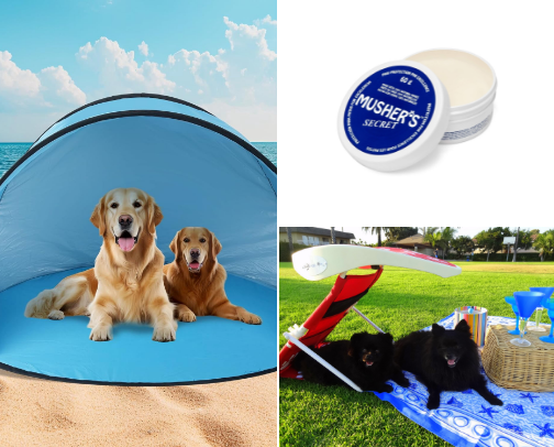 🐾 Beach Days With Your Best Friend  Because beach days are even better with your four-legged sidekick! 🐶 cover photo collage