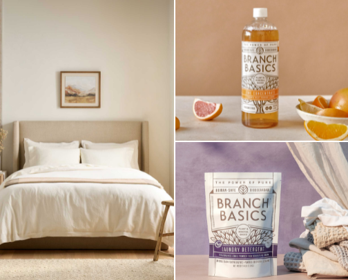 My Wishlist as Someone Creating a Low-Tox Household cover photo collage