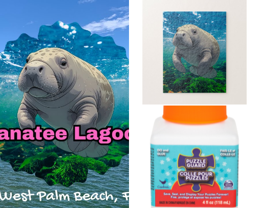 Manatee Lovers: Gentle Giants of the Sea cover photo collage