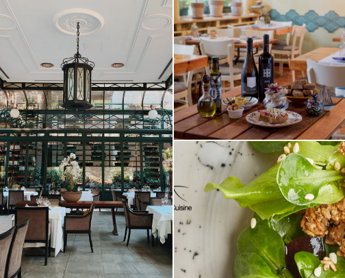 🍽️ Belgrade’s Top 20 Restaurants cover photo collage