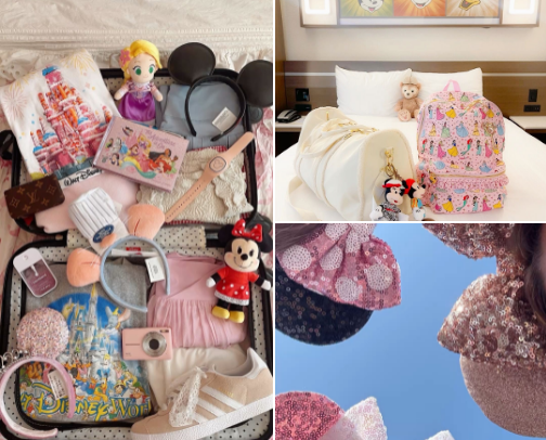 Disney Park Day Essentials 🏰✨ everything you need to have a magical day! cover photo collage