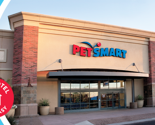 PET SMART cover photo collage
