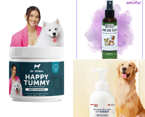 All about Pets 🐶😺 🐾 cover photo collage
