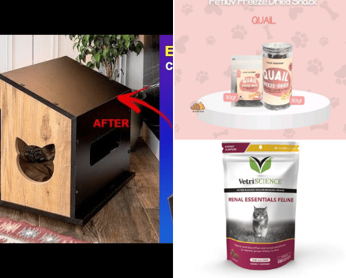 Best recommendation as a cat owner 😻 cover photo collage
