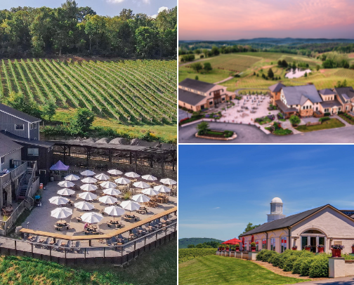 Where the Wine Things Are cover photo collage