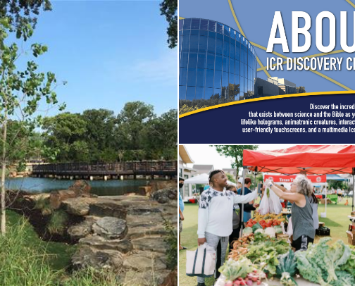 Toddler friendly places in DFW cover photo collage