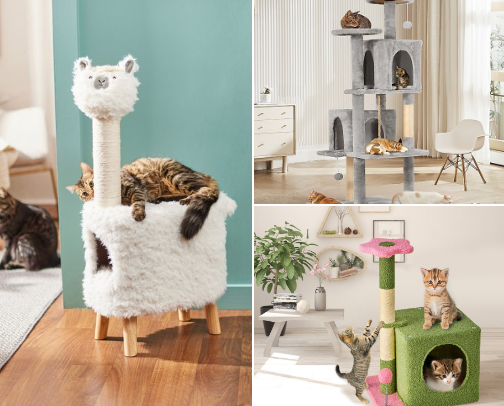 Cat Essentials Every Cat Parent Needs cover photo collage