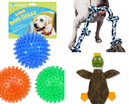 Dogs cover photo collage