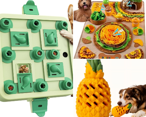 Interactive Brain Games for High-Energy Dogs cover photo collage