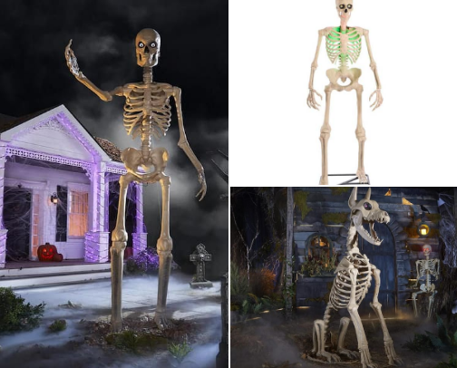 Haunted Harvest: Halloween Must-Haves cover photo collage