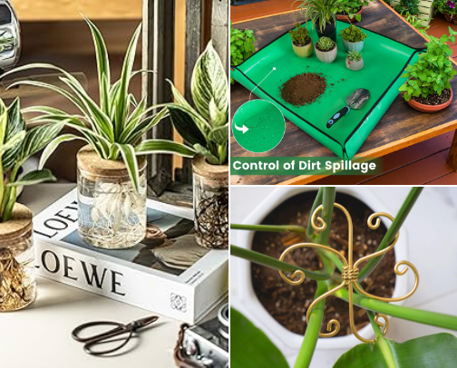 The Plant Parent Kit cover photo collage