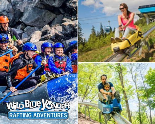 Fun for adults and kids cover photo collage