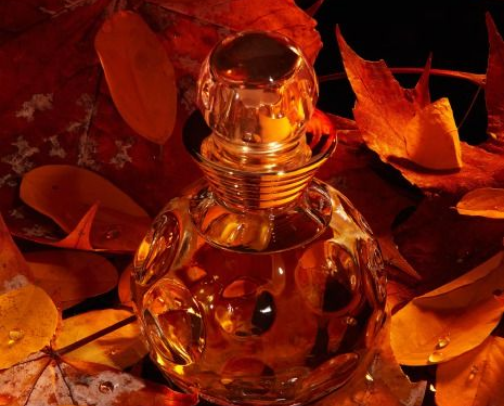 Perfumes & Fragrances Every Girl Needs cover photo collage