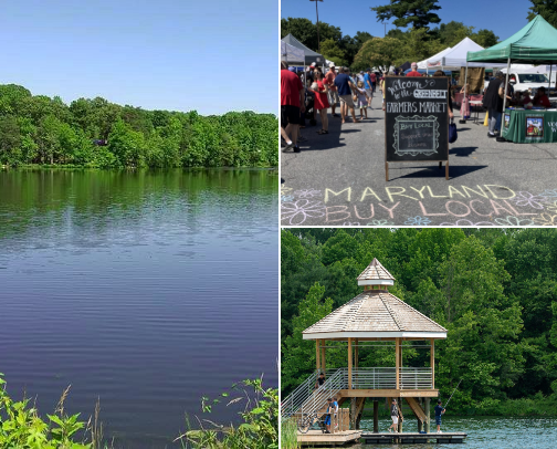 off the beaten trail dmv attractions cover photo collage
