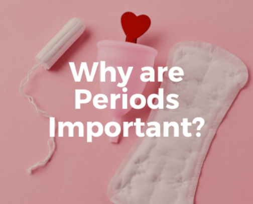 Menstrual Cycle Must Haves cover photo collage