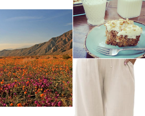 Spring Fling cover photo collage