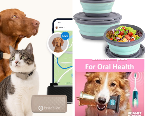 New Puppy? The  Must-Have Essentials You Actually Need in 2026 cover photo collage