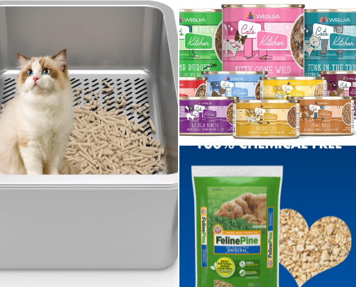 Cat essentials for adventurous minimalists cover photo collage