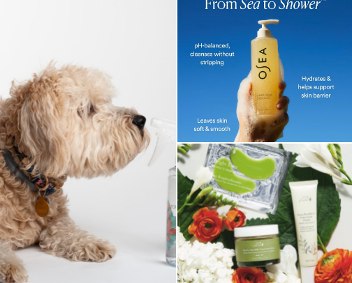Natural Finds for the Modern Busy Mom cover photo collage