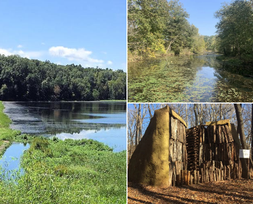 Enjoy nature in Land Between the Lakes cover photo collage