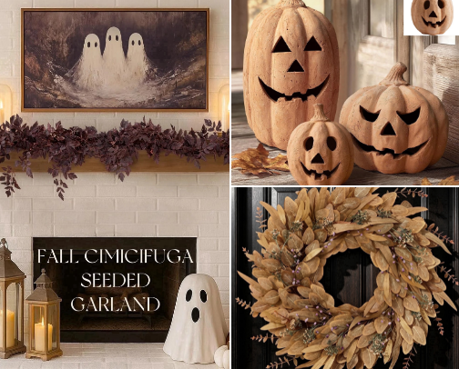 My favorite affordable Fall finds cover photo collage