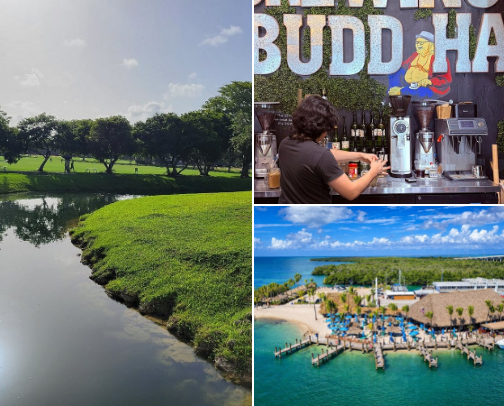 Experience Miami like a local 🌞🌴 cover photo collage