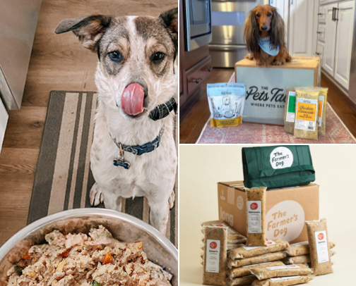 High-Quality Dog Food cover photo collage