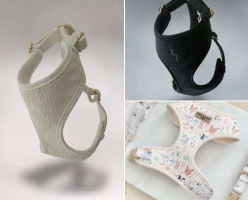 Favourite Walking Accessories cover photo collage