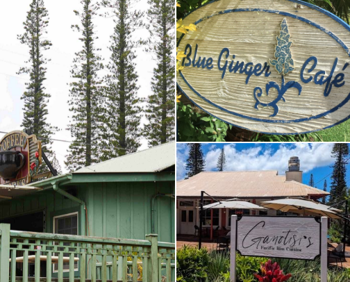 🌺 My Hawaiʻi Island Finds in Lanai City cover photo collage