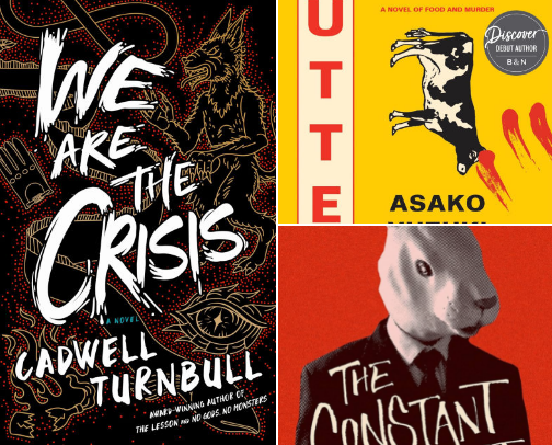 Judging Books by Their Covers cover photo collage