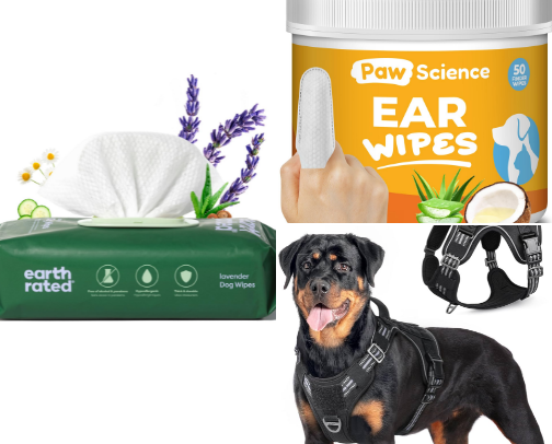 To my Future Dobbie cover photo collage