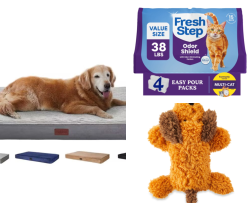 Pet Must-Haves Dogs & Cats Love 🐶 cover photo collage