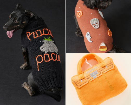 Halloween Finds for Stylish Pets cover photo collage