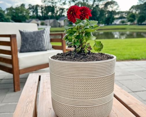 Flower Pots cover photo collage