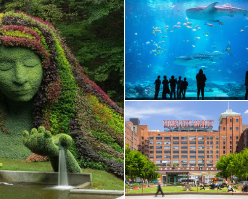 ATL Adventures: Things to Do cover photo collage