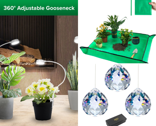 Plant Mama Essentials cover photo collage