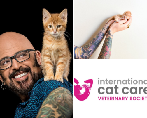 Cat Resources Every Cat Owner Should Know cover photo collage