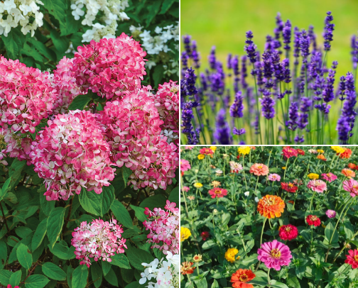 Garden cover photo collage