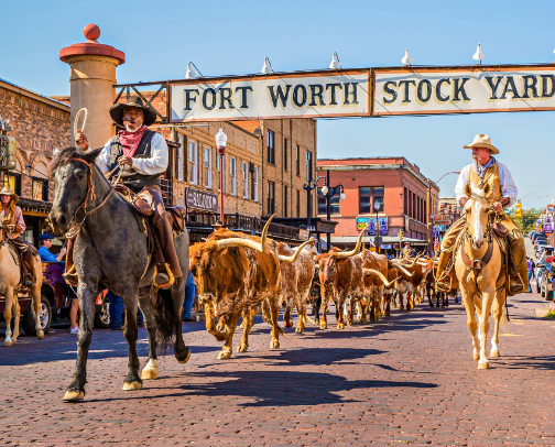 Free & affordable things to do in DFW cover photo collage