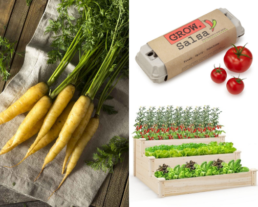 Surviving 2026 : What I am growing cover photo collage